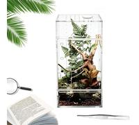 Spider Enclosure | Acrylic Transparent Escape-Proof - Lizard Enclosure Spider Terrarium,for Observation Feeding Breeding Climbing Tarantula Mantis Frog