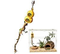 Spider Enclosure Decor - 50 g Realistic Terrarium Accessories For Tarantulas, Scorpions, And Exotic Spiders, Safe Resin or Hideouts, Plants, And Rocks To Create Naturalistic Habitat, Easy To Cl