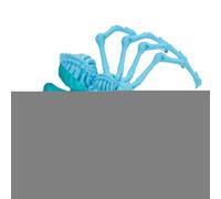 Spider Fidget imprimé en 3D, araignée articulée imprimée en 3D | Jouets Spider Fidget à articulations Mobiles imprimées en | Jouets de Bureau exécutif pour Adultes, Jouets de Bureau Anti-Stress, jo