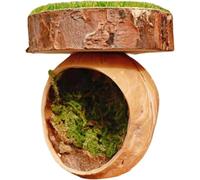 Spider Hide - Terrarium Pour Salval Spiders | Pour Réfugiés Magnétique Artisanal Pour Araignée Terrarios De Mantis, Acessorios Du Cabinet Pour Aranhas De Animais,Boîte à araignées sauteuses, n