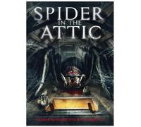 Spider in The Attic