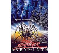 Spider Labyrinth