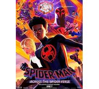 Spider Man Across The Spider Verse Poster 30 x 40 cm