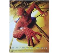 SPIDER MAN Affiche Cinéma Originale Petit Format (53x40 cm ROULEE) film 2002 Sam Raimi