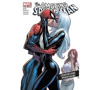 Spider-Man & Black Cat - Web of Heroes Collection T05 - Marv Wolfman - Panini Comics - cartonné - Comics