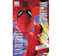 Spider-Man & Daredevil -Web of Heroes Collection T09