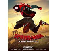 Spider-Man: Into the Spider-Verse Poster 30 x 40 cm