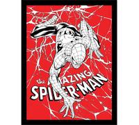 Spider-Man - Poster encadré, toile d'araignée PM8547 (40 cm x 30 cm) (Rouge/Blanc/Noir)
