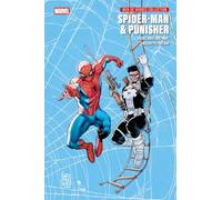 Spider-Man & Punisher: Web of Heroes Collection