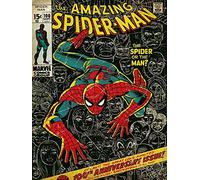 Spider-Man WDC90408 Toile Imprimée, Multicolore, 60 x 80 cm