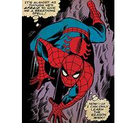 Spider-Man WDC90944 Toile Imprimée, Multicolore, 60 x 80 cm