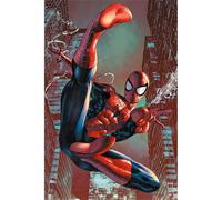 Marvel Comics Affiche maxi Spider-Man (Web Sling) 61 x 91,5 cm