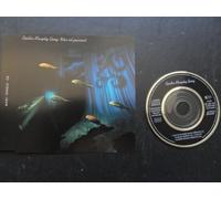 Spider Murphy Gang - Was ist passiert 3" CD