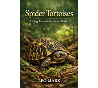 Spider Tortoises: Living Lace of the Forest Floor