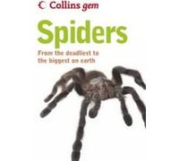 Spiders, Collins Gem P. D. Hillyard (Auteur)