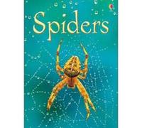 Spiders Gilpin, Rebecca (Auteur)