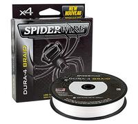 Spiderwire Tresse de Pêche Dura 4 Translucent 0.30 mm 300 m Ligne Multibrins PE Dyneema Bobine Spinning Carpe Mer