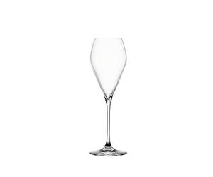Spiegelau Special Glasses 4270329 Sparkling Party Lot de 6 flûtes à champagne en cristal Passe au lave-vaisselle 230 ml