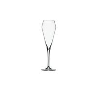 Spiegelau Willsberger Anniversary Champagnerkelch, 4er Set, Sektkelch, Proseccokelch, Sektglas, Proseccoglas, Champagnerglas, Kristallglas, 240 ml, 1416175
