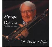 Spiegle Willcox - A Perfect Life (UK Import)