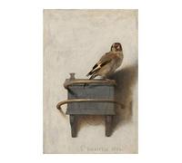 Spiffing Prints Carel Fabritius - The Goldfinch 1654 - Petite affiche - Semi-brillante - Sans cadre
