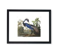 Spiffing Prints John James Audubon - Louisiana Heron from Birds of America Poster - Extra Large - Affiche encadrée