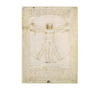Spiffing Prints Leonardo Da Vinci - Human Proportions Vitruvian Man - Grand - Semi brillant - Impression d'art sans cadre