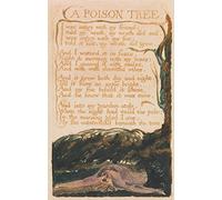 Spiffing Prints William Blake - A Poison Tree - Large - Archival Matte Print