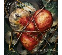 Spin Doctors - She Used to Be Mine