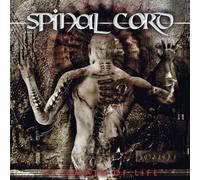 Spinal Cord - Stigmata of Life