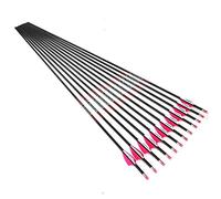 Spine 1000 Flèche 25 Pouces Flèche Flèches Carbone Flèche Cible Flèche de Chasse Arc à Poulies Arc Classique Adulte Jeunesse Tir à l’Arc Entraînement 12pcs