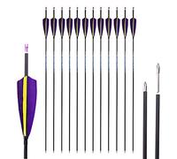 Spine 1000 Flèche 30 Pouces Flèche Flèches Carbone Flèche Cible Flèche de Chasse Arc à Poulies Arc Classique Adulte Jeunesse Tir à l’Arc Entraînement 12pcs