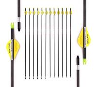 Spine 300 Flèche pour 50 LB Arc à Poulies 30 Pouces Flèche Flèches Carbone Flèche Cible Flèche de Chasse Adulte Jeunesse Tir à l’Arc Entraînement 12pcs