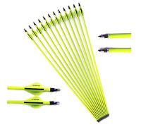 Spine 500 Flèche 29 Pouces Flèche Flèches Carbone Flèche Cible Flèche de Chasse Arc à Poulies Arc Classique Adulte Jeunesse Tir à l’Arc Entraînement 24pcs