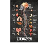 Spine Health Poster Chiropractic Zones Clinic Guide | Color coded vertebrae map shows nerve pathway connections to body areas(Framed,16x24inch(40x60cm))