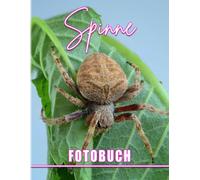 Spinnen-Fotobuch: Sammlung Fotografie Von Spinnen In Der Natur Buch Fuer Dekoration Als Geschenke Mit Zurueck Zur Schule Geschenken Zum Lernen Und Dekorieren.