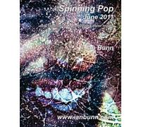 Spinning Pop, June 2011: Is about iconic people, places and events of our time