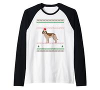 Spinone Italiano Noël Manche Raglan