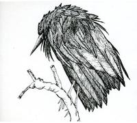 Spiral Joy - Little Sparrow