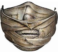 Spiral - Mummified - Masque mode en coton de qualité supérieure avec ajusteur - L Noir, Noir , 1 count (Pack of 1)