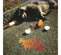 Spiral Stairs - The Real Feel