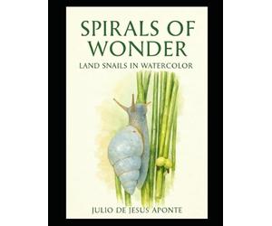 Spirals of Wonder: Land Snails in Watercolor