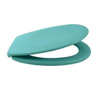 Spirella - Abattant WC Thermo Dur Neela - Charnières en ABS Chromé - Couvercle WC avec Frein de Chute - Fermeture Slow-Close - 44 x 37 x 3 cm - Aqua Mat