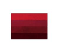 Spirella Four Red 10.16169 Tapis de Bain 60 x 90 cm
