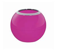 Spirella Gobelet en Plastique Bowl Rose Foncé