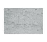 Spirella Tapis de Bain Coton TAMA 55x65cm Gris Clair