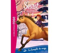 Spirit 04 - La tempête de neige - Dreamworks - Bb Rose Verte - Poche - Roman junior