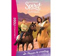 Spirit 07 - Mission de sauvetage