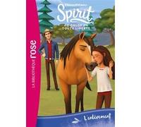 Spirit 09 - L'enlèvement Dreamworks (Auteur), Christelle Chatel (Auteur)