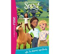 Spirit 18 - Le dernier spectacle